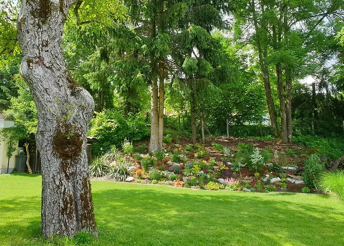 Apartament Waldfriede *